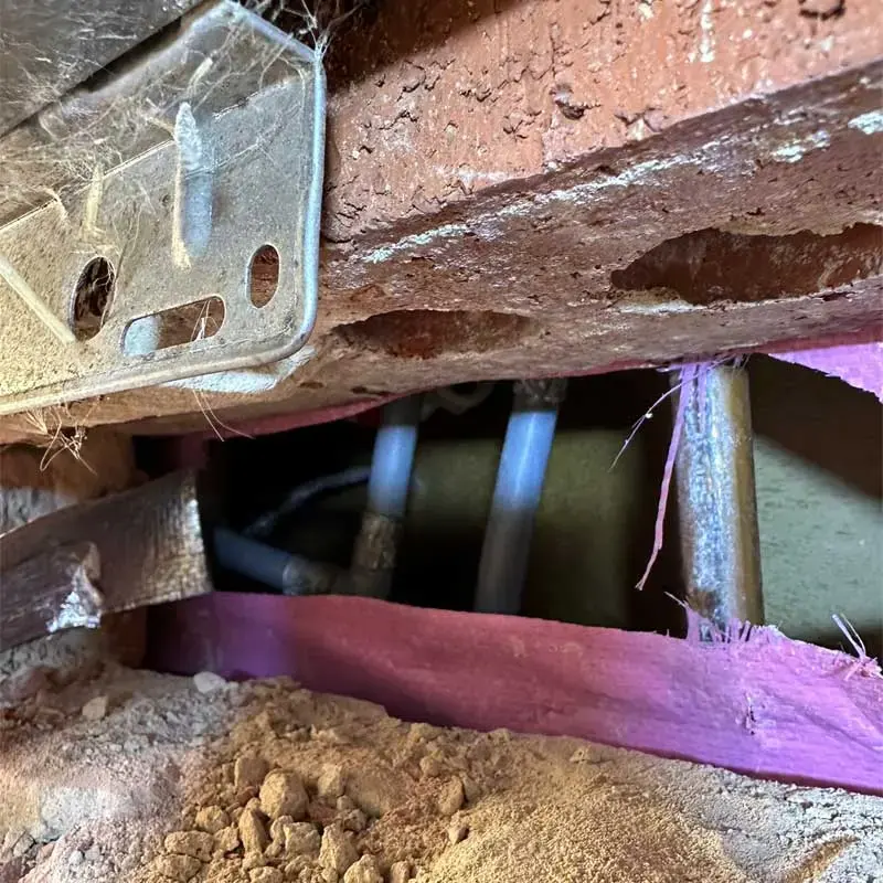 Wet crawl space under a raised wood floor with supply pipes and soil