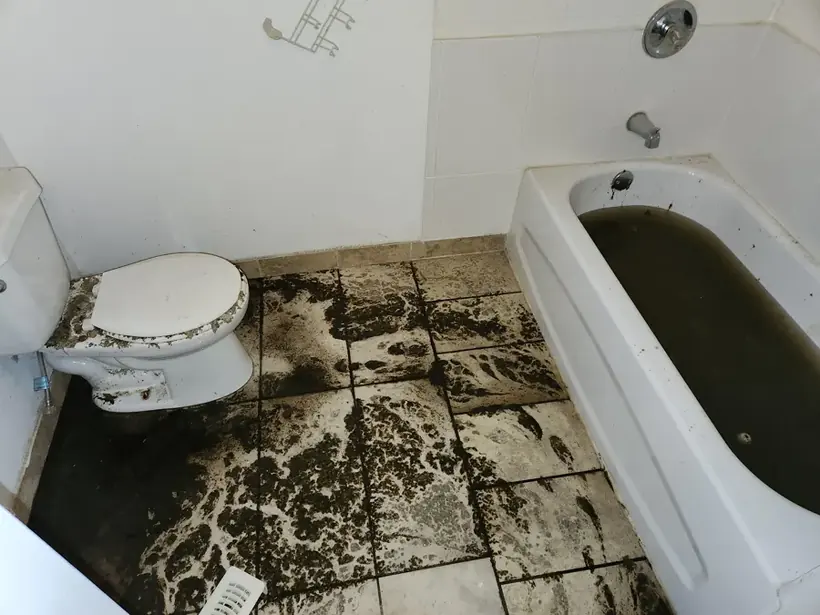 Sewage backup across a bathroom floor and tub in an Alhambra home